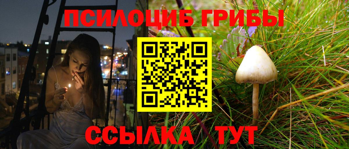 Шадринск  Псилоцибиновые грибы MAGIC MUSHROOMS  Вход с VPN  Галлюциногенные грибы ЛСД 
